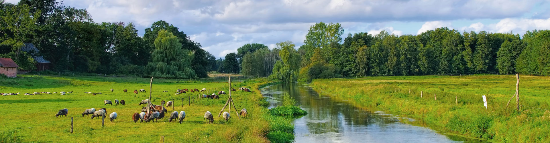 wolkenhof – Lebenswert/e nachhaltig gestalten!